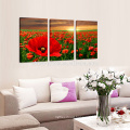 Red Flower Canvas Art/High Quality Sunrise Wall Art/Group Stretched Canvas Print